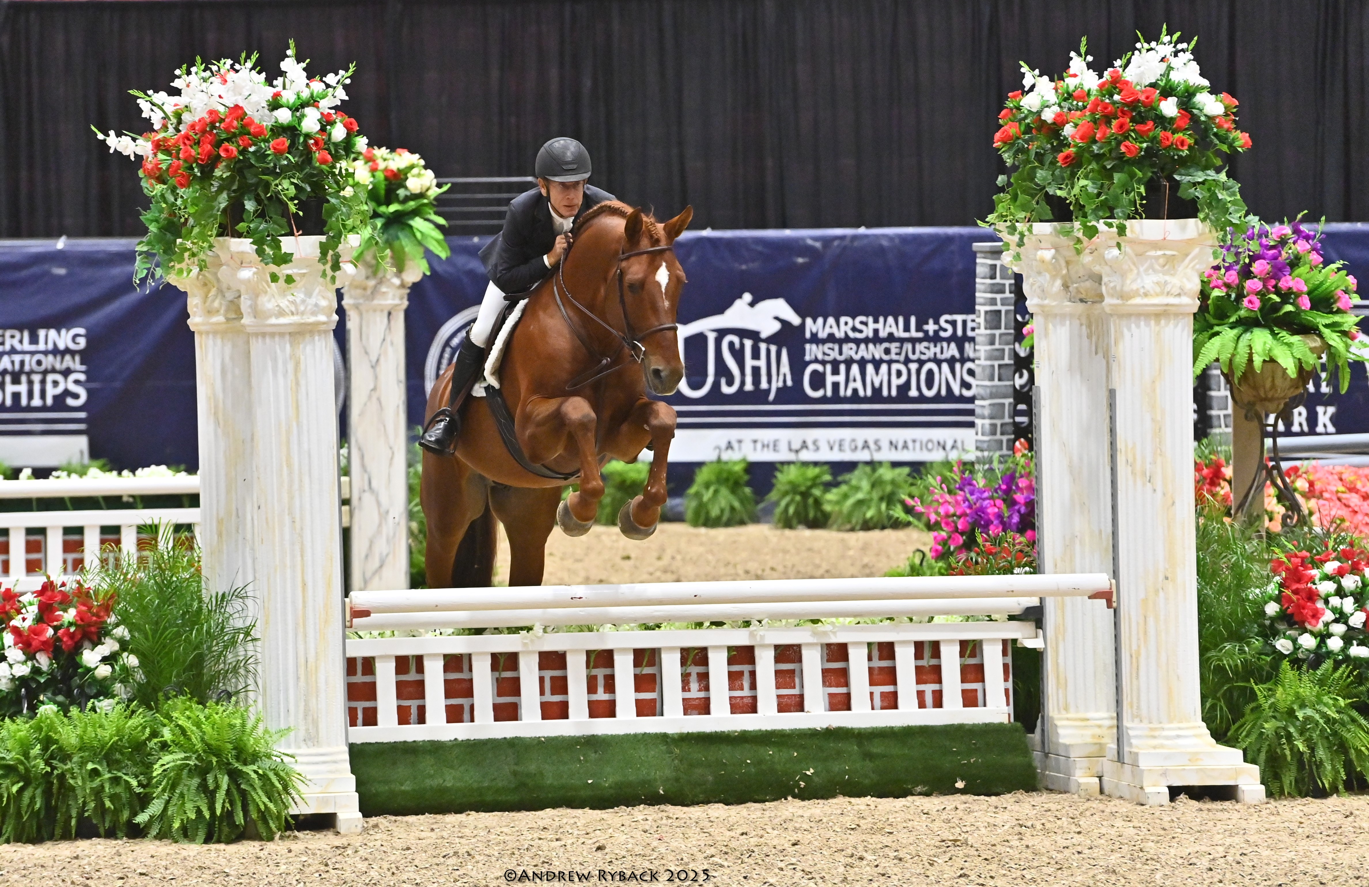 Valentino BF and John French team up for clean sweep at the USHJA